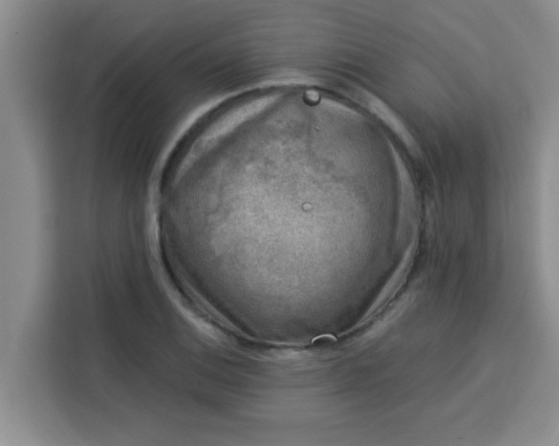 X0000113741124200910071040