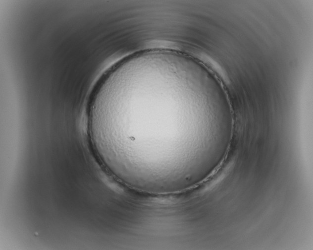 X0000113741125200910071040