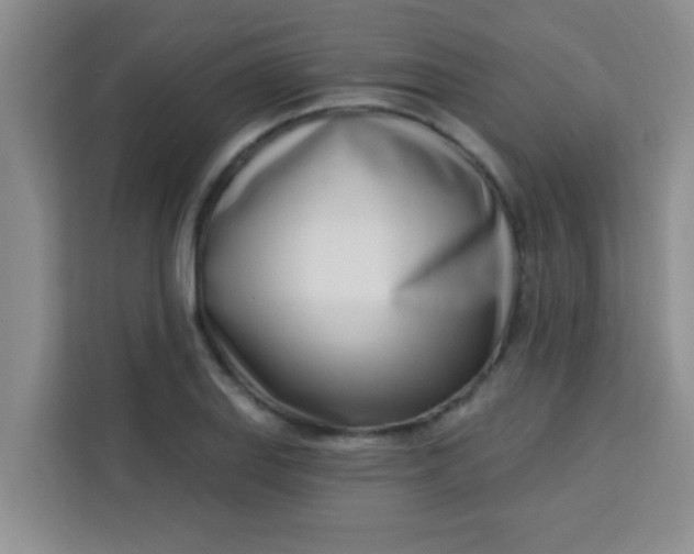 X0000113741127200910071040