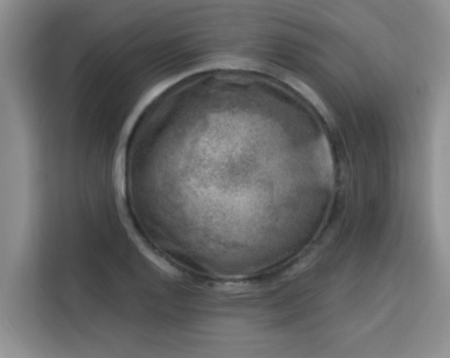 X0000113741128200910071040