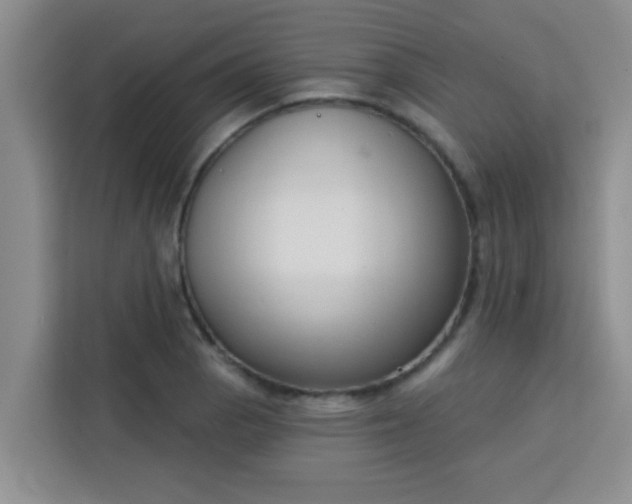 X0000113741129200910071040