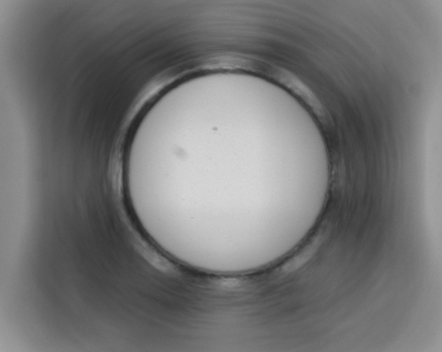 X0000113741130200910071041