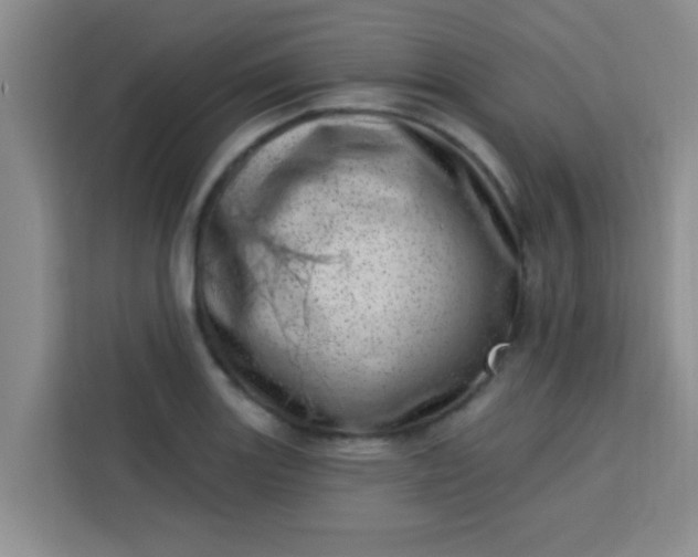 X0000113741131200910071041