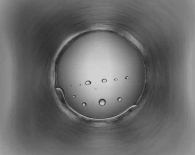 X0000113741132200910071041