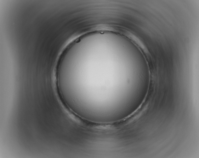 X0000113741133200910071041