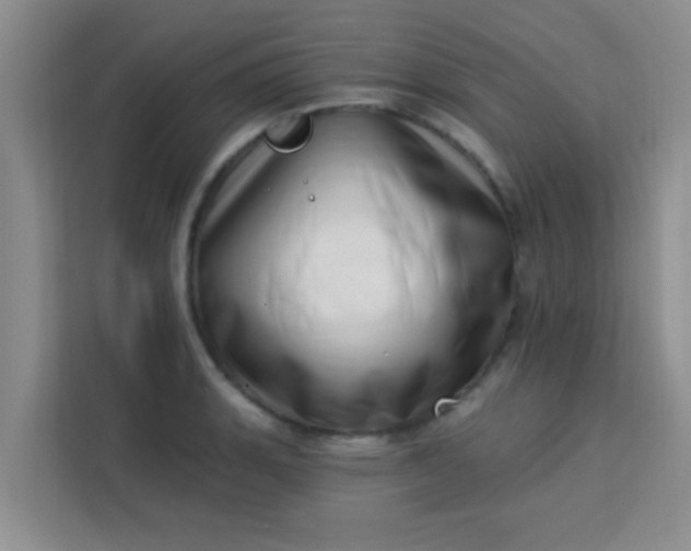 X0000113741135200910071041