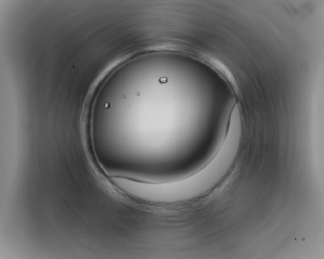 X0000113741138200910071041