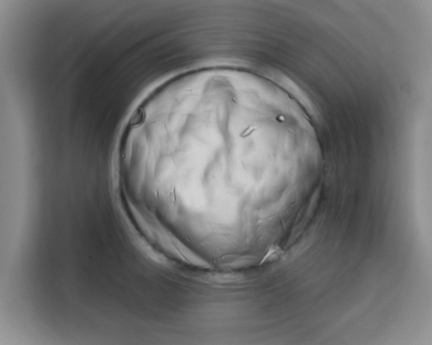 X0000113741140200910071041