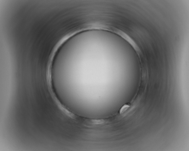 X0000113741144200910071041