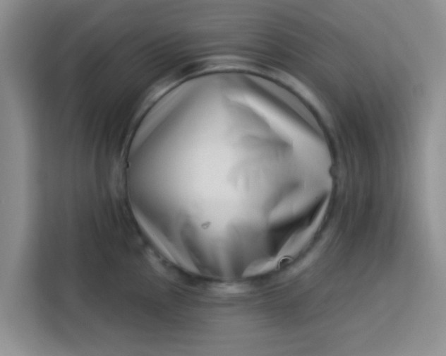 X0000113741145200910071041