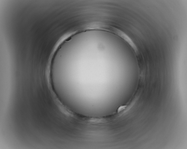 X0000113741146200910071041