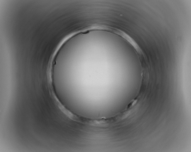 X0000113741148200910071041