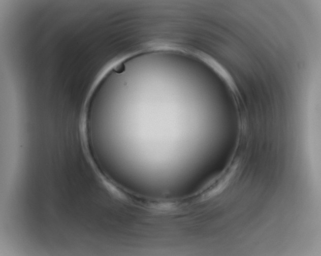 X0000113741149200910071041