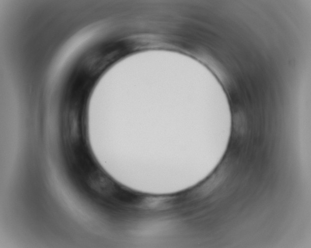 X0000113741150200910071041