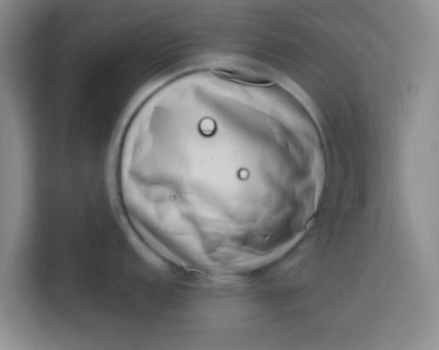 X0000113741152200910071041