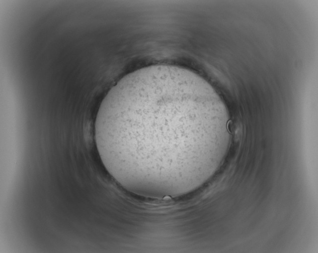 X0000113741156200910071040