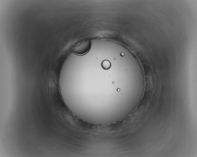 X0000113741158200910071040