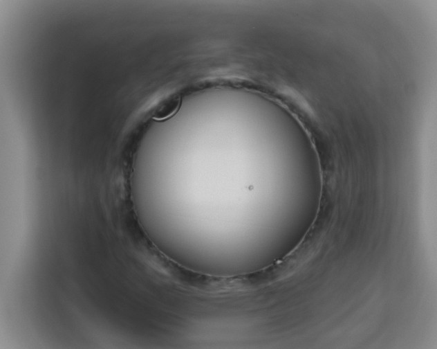 X0000113741159200910071040