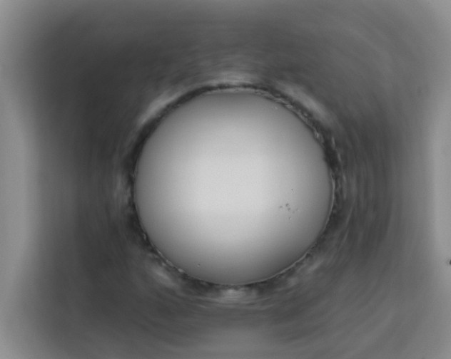 X0000113741160200910071040