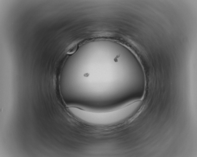 X0000113741161200910071040