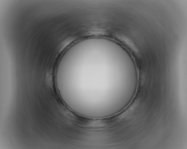 X0000113741162200910071040