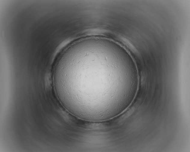 X0000113741164200910071040