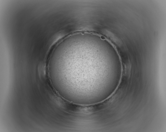 X0000113741165200910071040