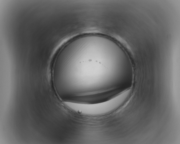 X0000113741167200910071040