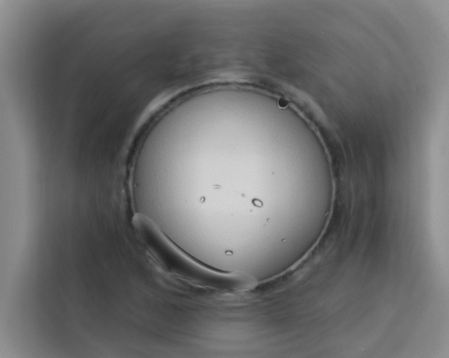 X0000113741168200910071040