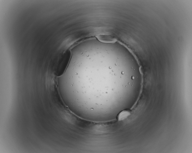 X0000113741169200910071040