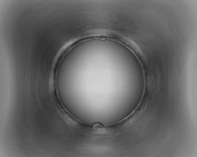 X0000113741172200910071040