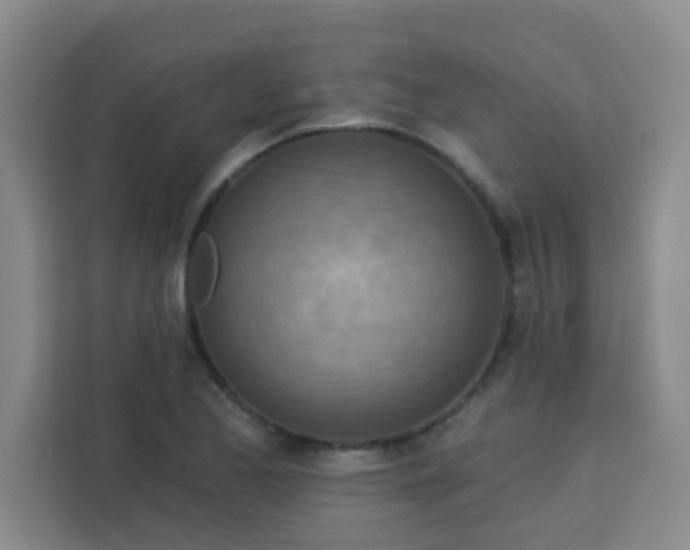 X0000113741173200910071040