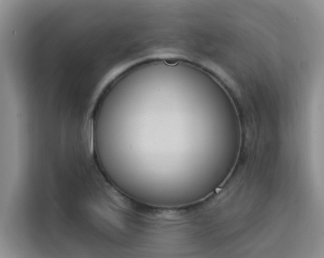 X0000113741175200910071040