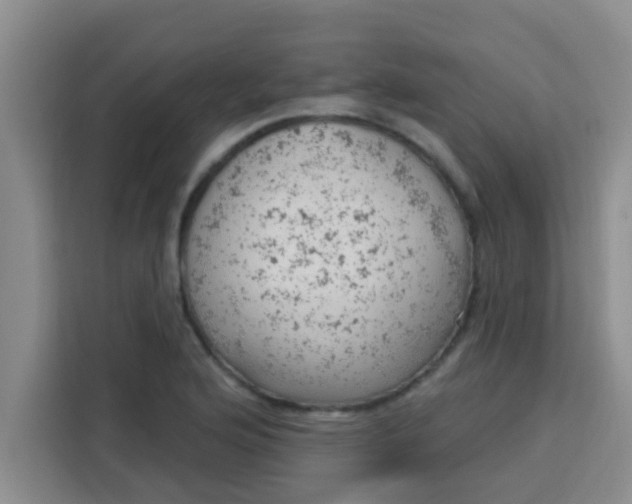 X0000113741176200910071040