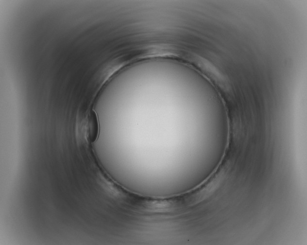 X0000113741177200910071040