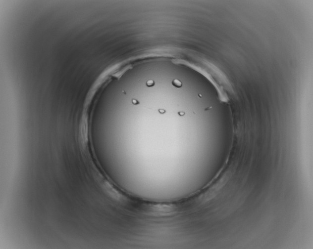 X0000113741180200910071040