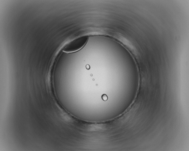 X0000113741181200910071040