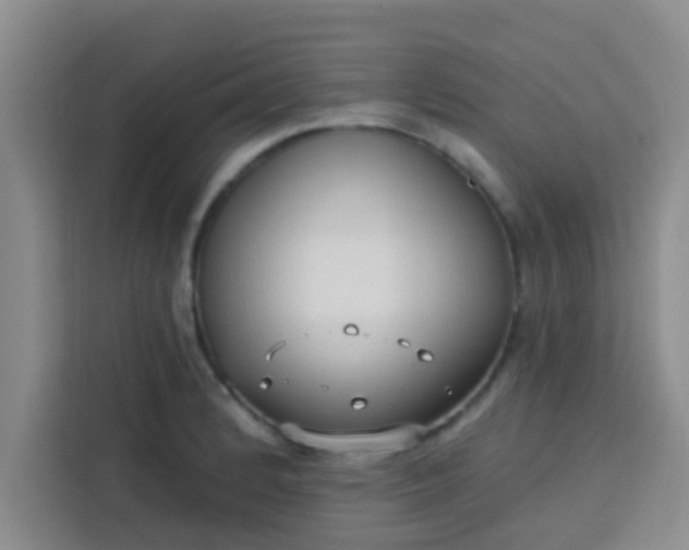 X0000113741184200910071040