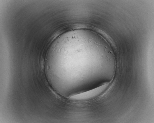 X0000113741185200910071040