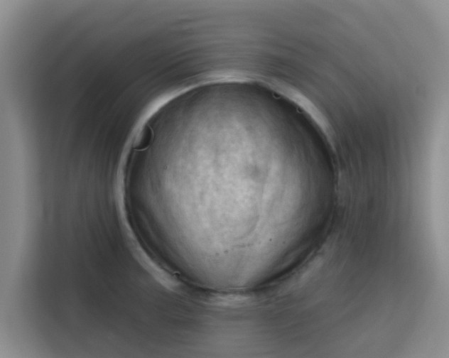 X0000113741187200910071040