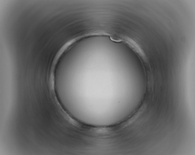 X0000113741188200910071040