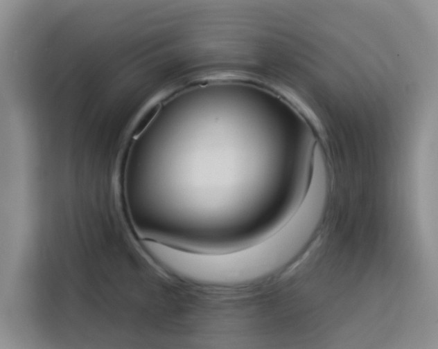 X0000113741189200910071040