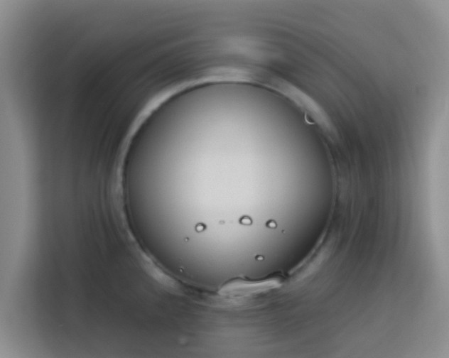 X0000113741192200910071040