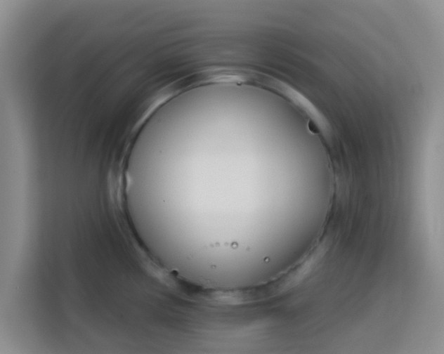 X0000113741194200910071040