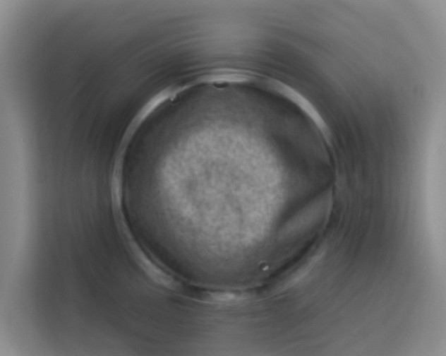 X0000113741195200910071040