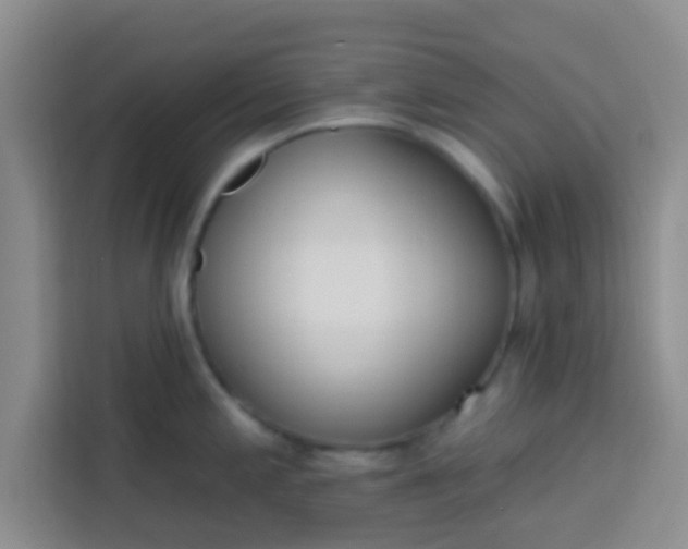 X0000113741197200910071040