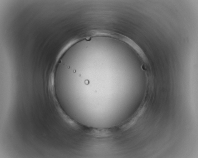 X0000113741198200910071040