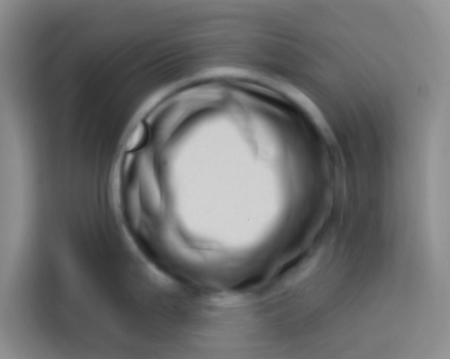 X0000113741199200910071040