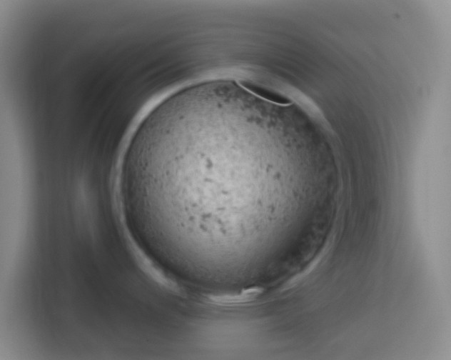 X0000113741200200910071040