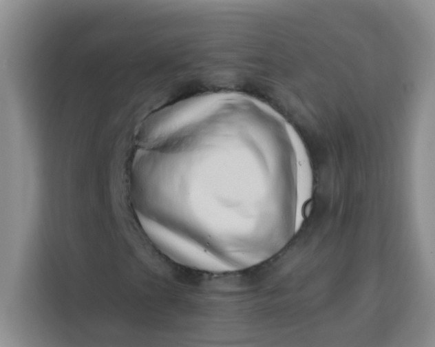 X0000113741201200910071039